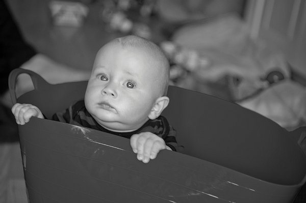 Gal_131805_0109 copy